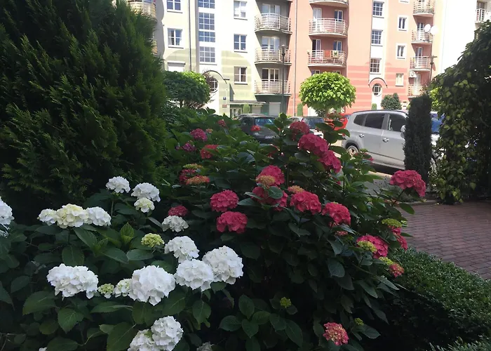 Annamarie بيت شباب شتشيتسين